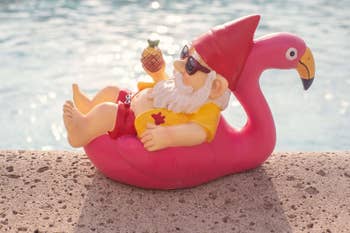 the same gnome but chilling poolside