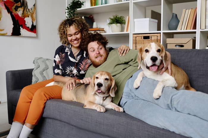 A couple on their couch with their dogs