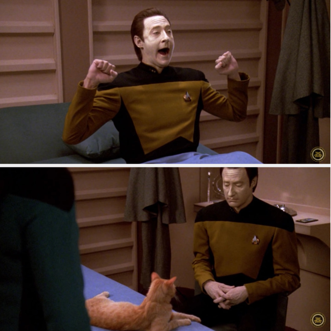 Data and his cat chilling in his quarters