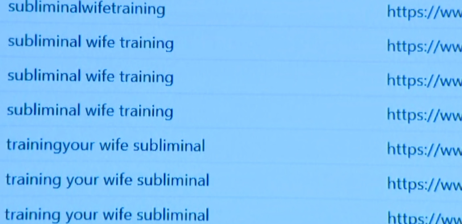 A screengrab shows an internet search history of the phrases &quot;subliminlal wife training&quot; and &quot;training your wife subliminal&quot;