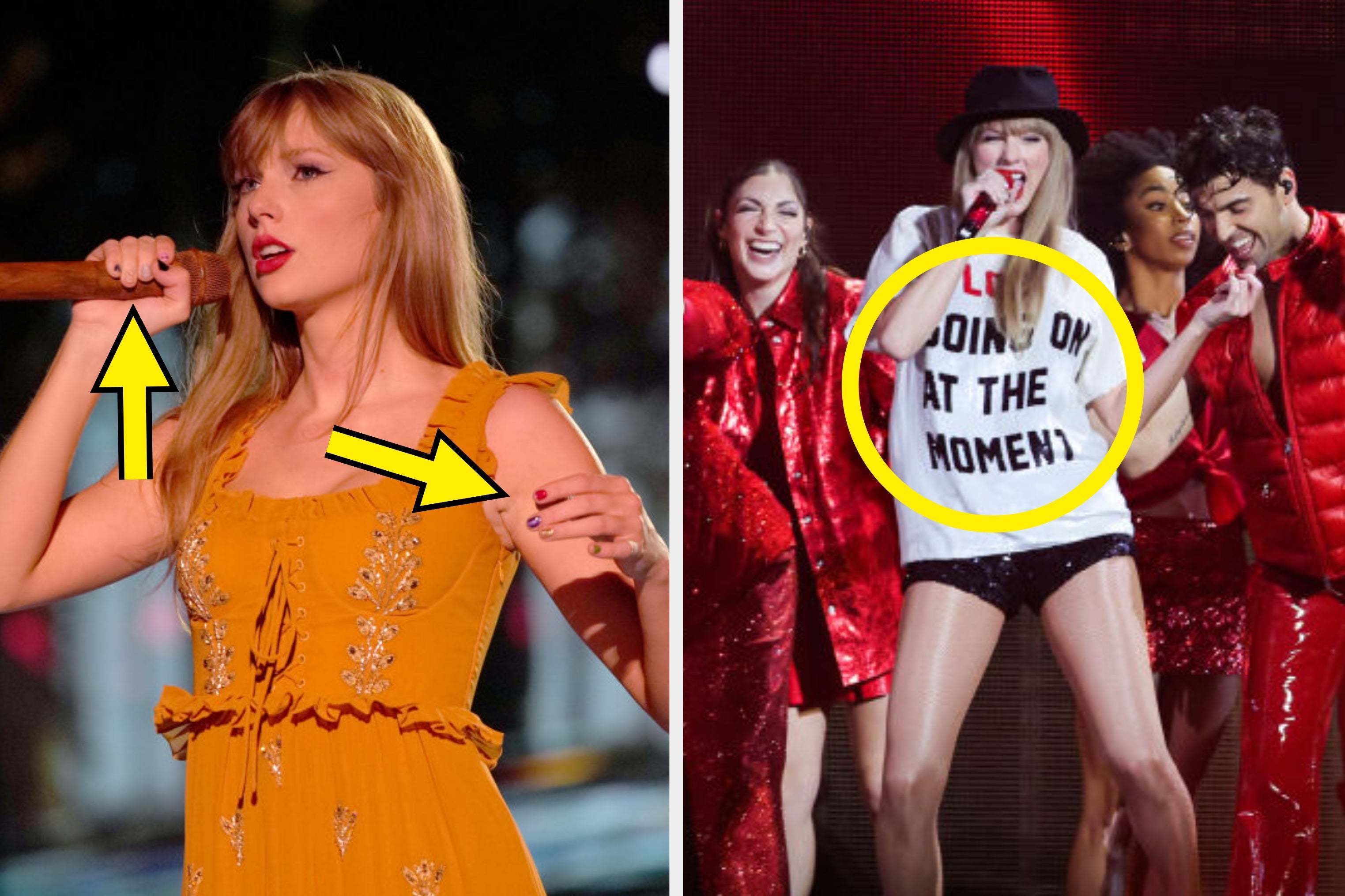 Swiftie Meaning: What Does It Mean To Be A True Taylor Swift Fan
