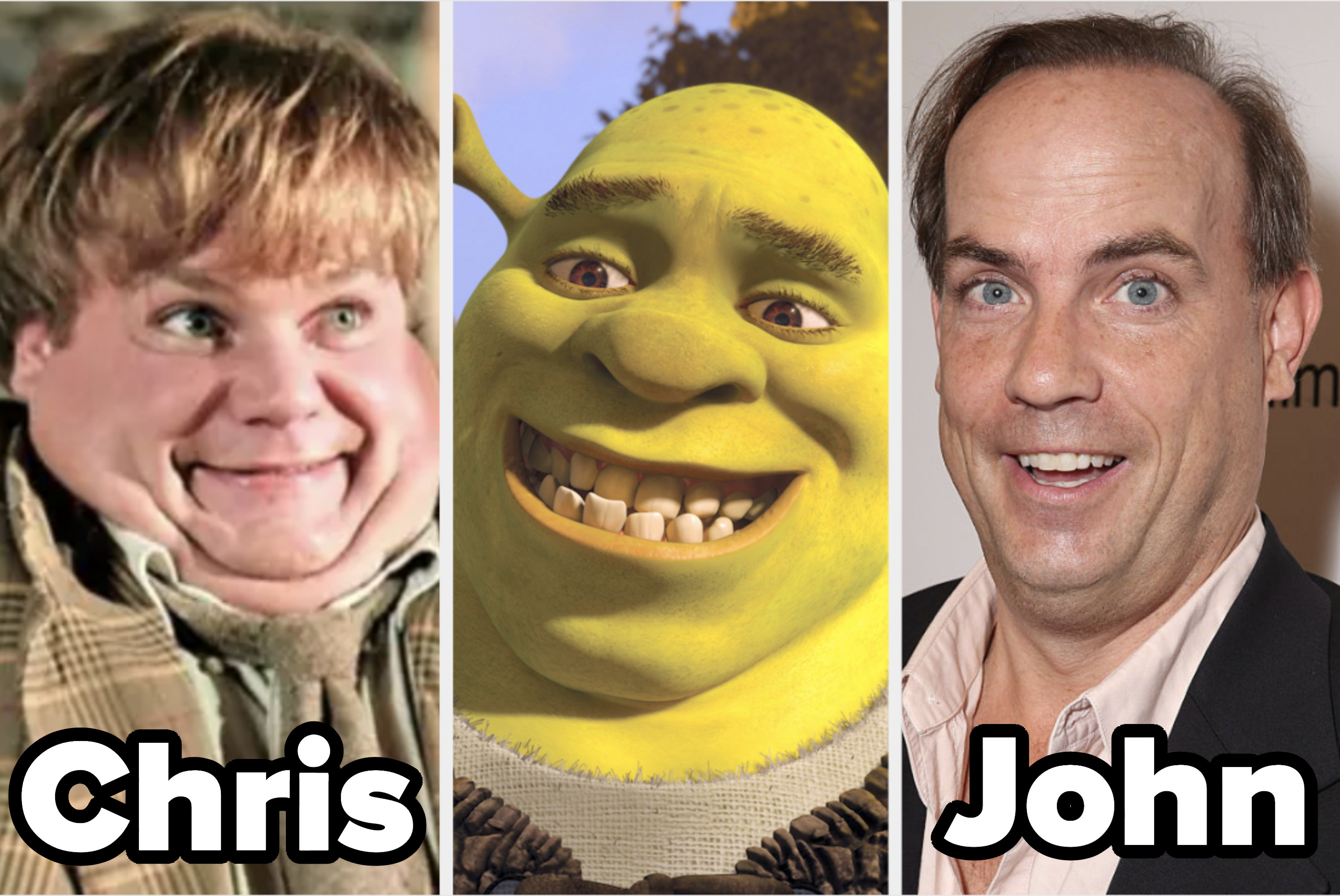 Chris and John Farley and Shrek