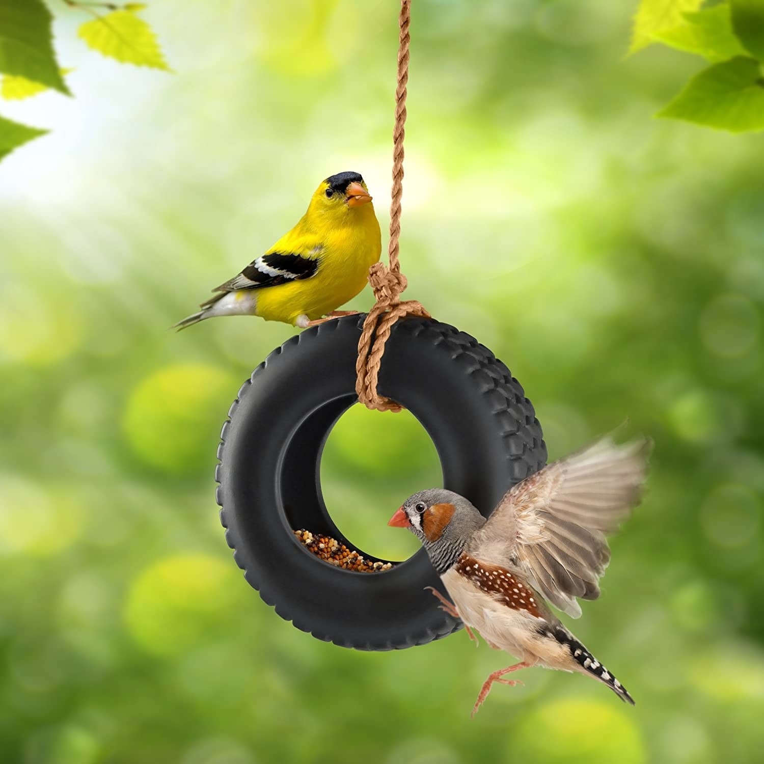 two birds eating from a tire swing bird feeder