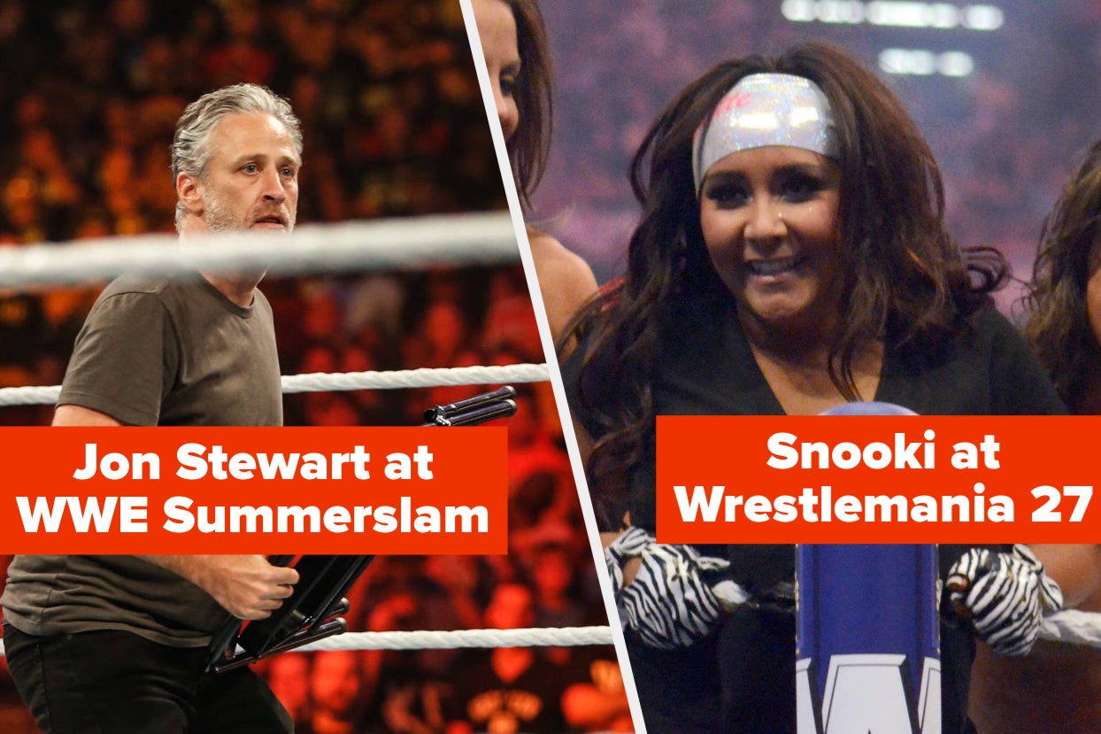 19 Celebrity I Bet You Didn't Know Made Appearance In WWE