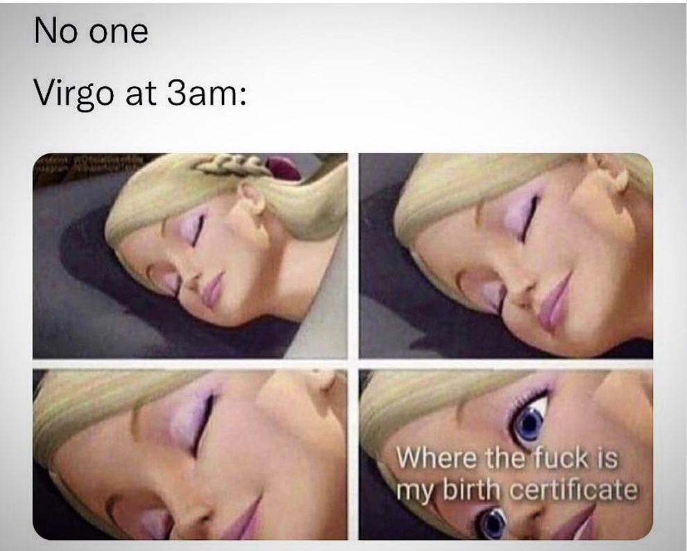 83 Zodiac Memes That Every Sign Can Relate To