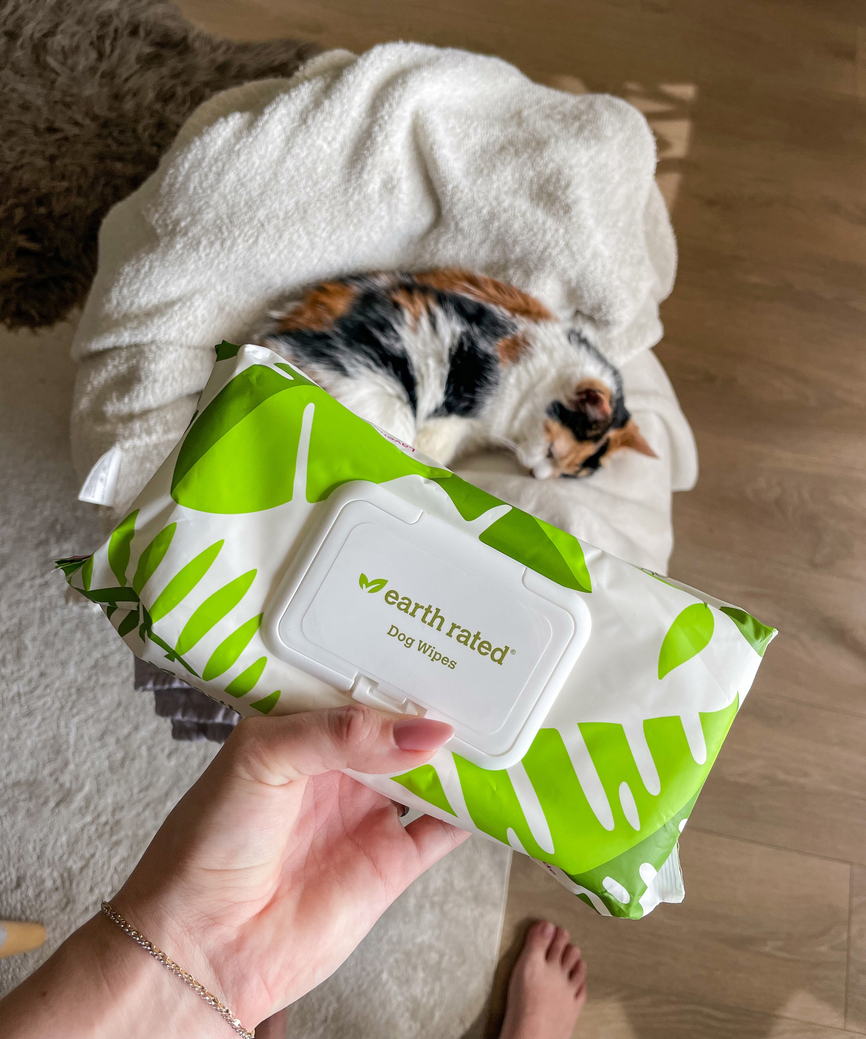 a packet of pet wipes with a curled up kitten in the background