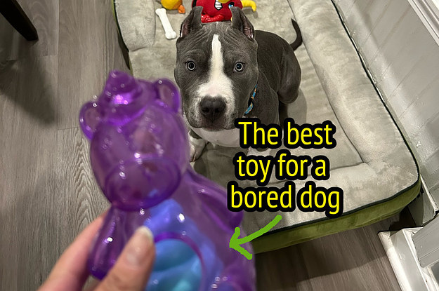 https://img.buzzfeed.com/buzzfeed-static/static/2023-03/29/17/campaign_images/90466b4cd5fe/this-under-10-treat-dispensing-dog-toy-has-kept-m-3-1445-1680111947-0_dblbig.jpg