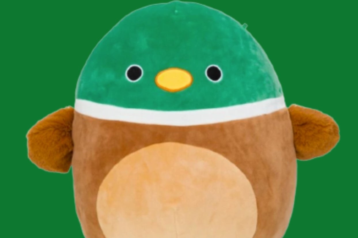 Avery the duck Squishmallow