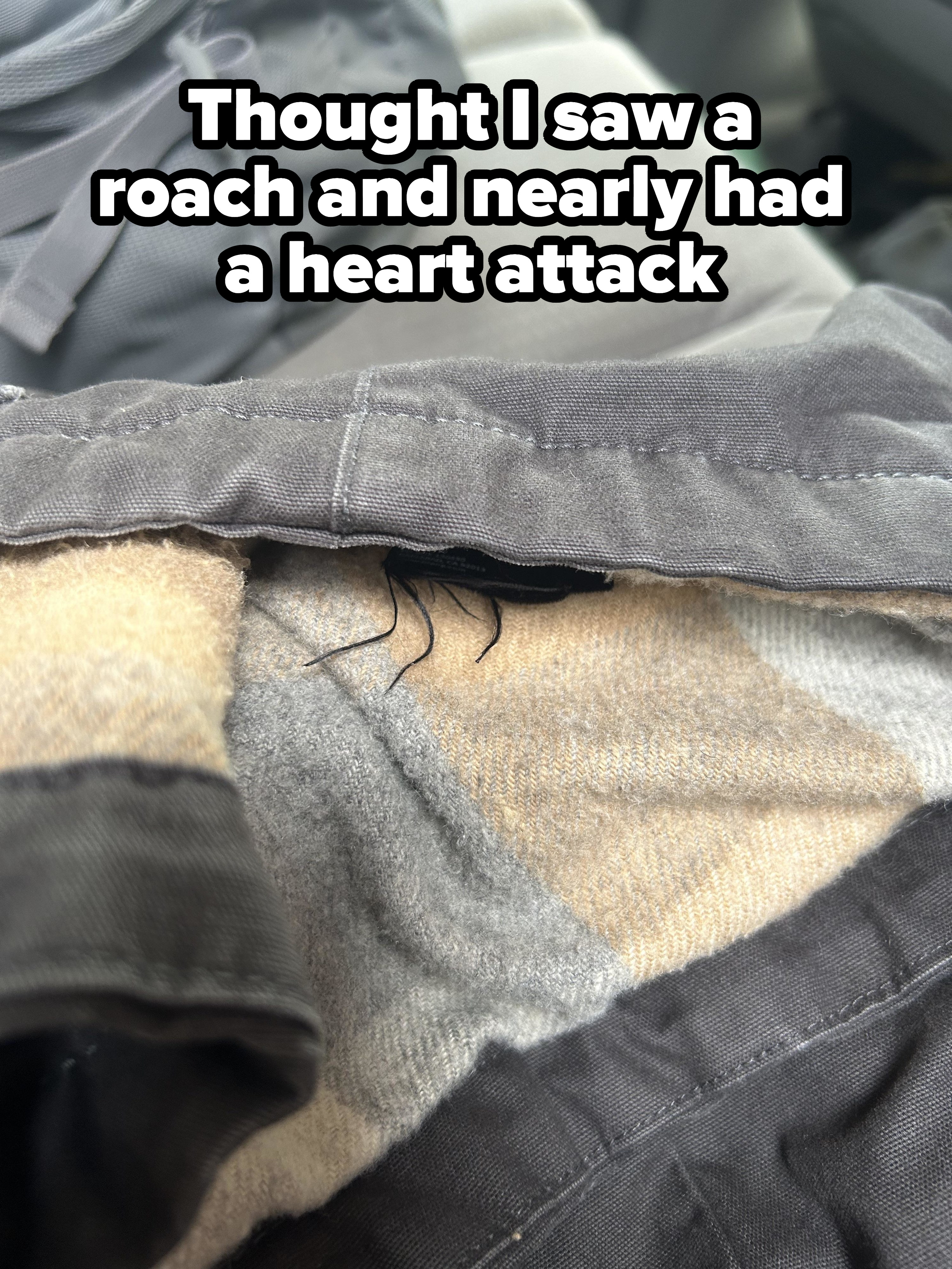 Jacket fiber that looks like the tentacles of a large roach
