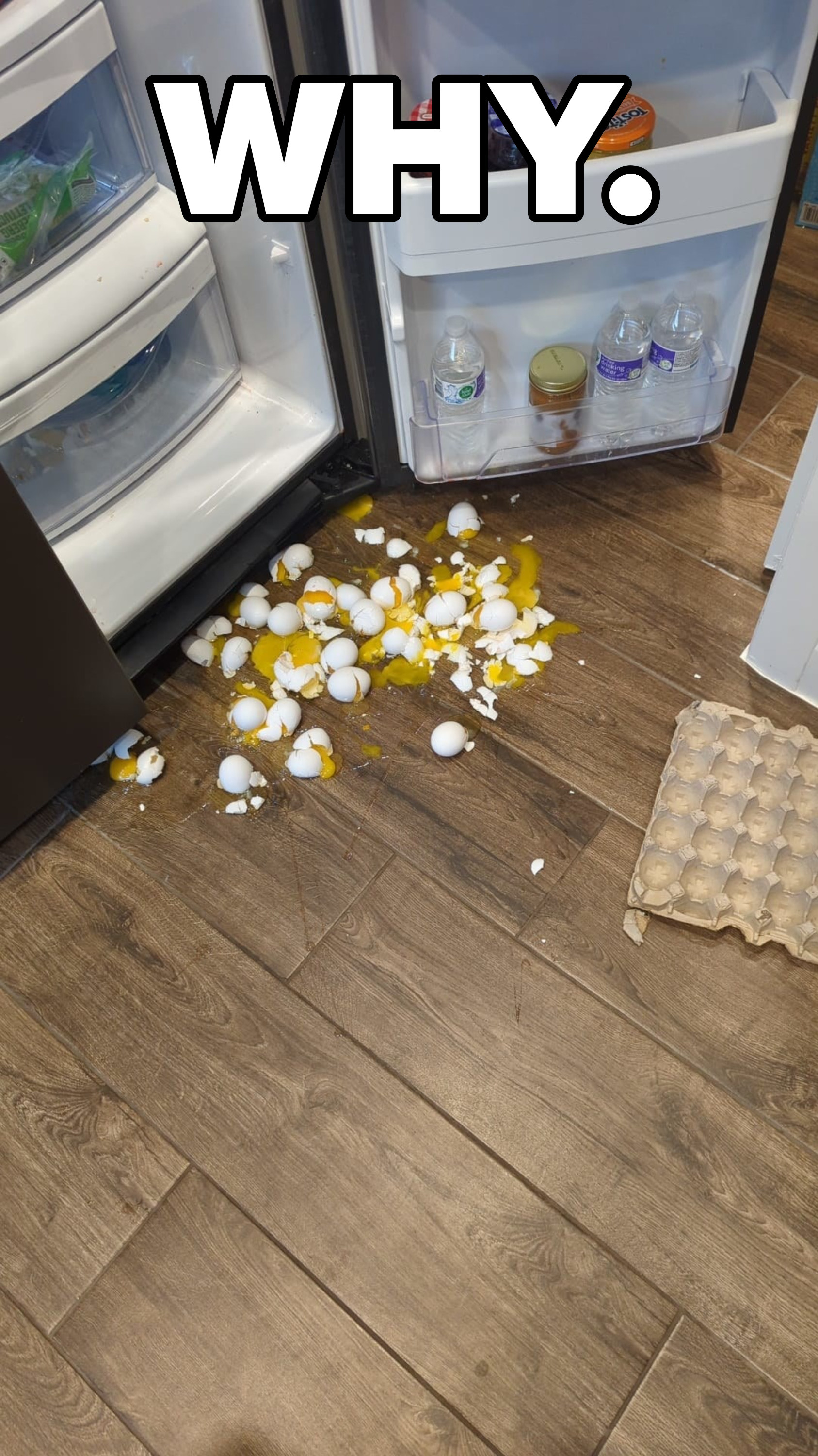 Dropped eggs in front of an open refrigerator
