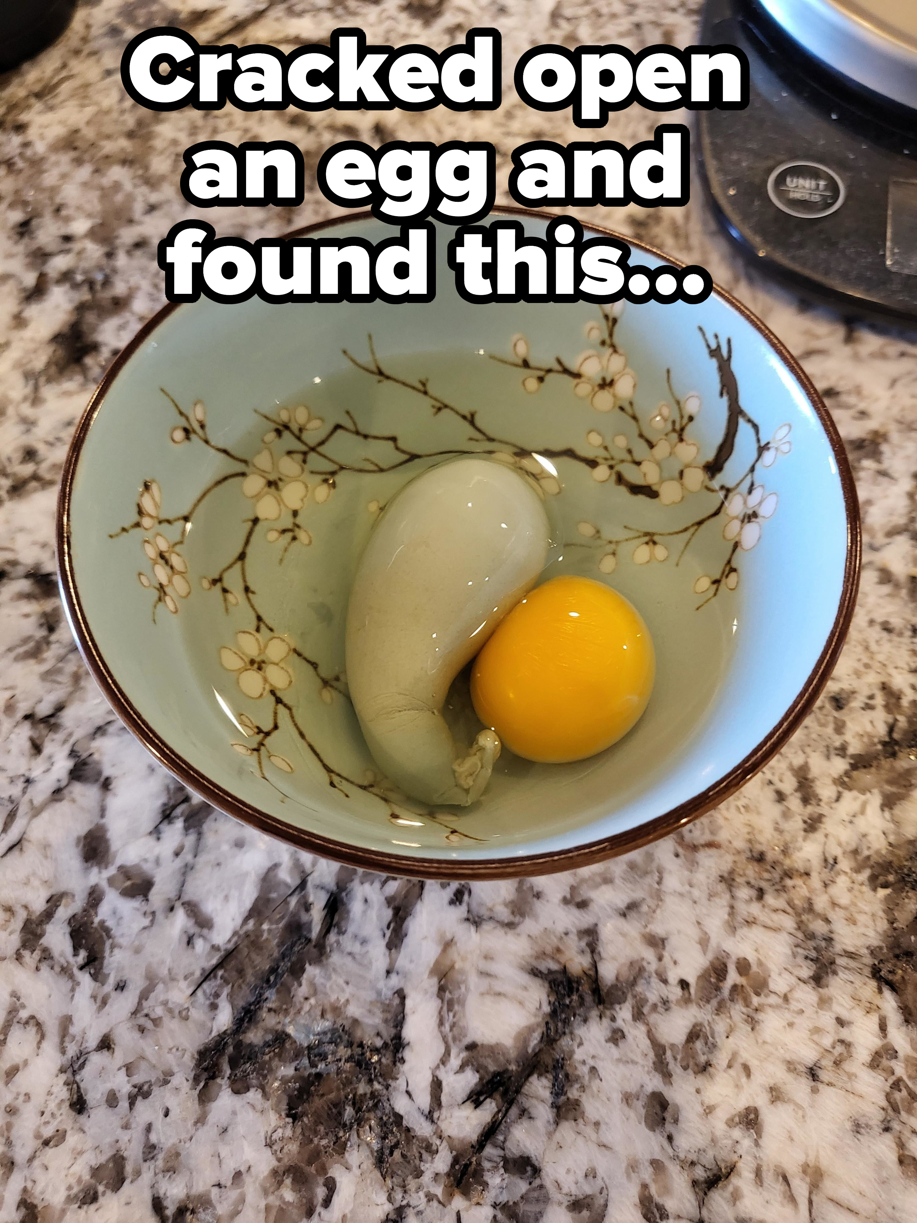 Strange egg innards, including what looks like a boiled egg white fetus