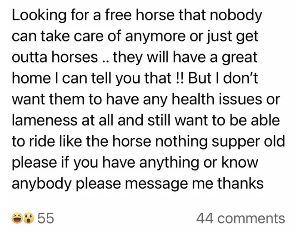 looking for a free horse with no health issues