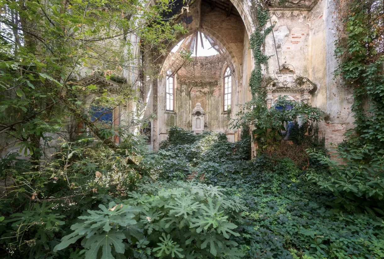 The inside of the church is covered in plants and vines, to the point you can&#x27;t even see the floor