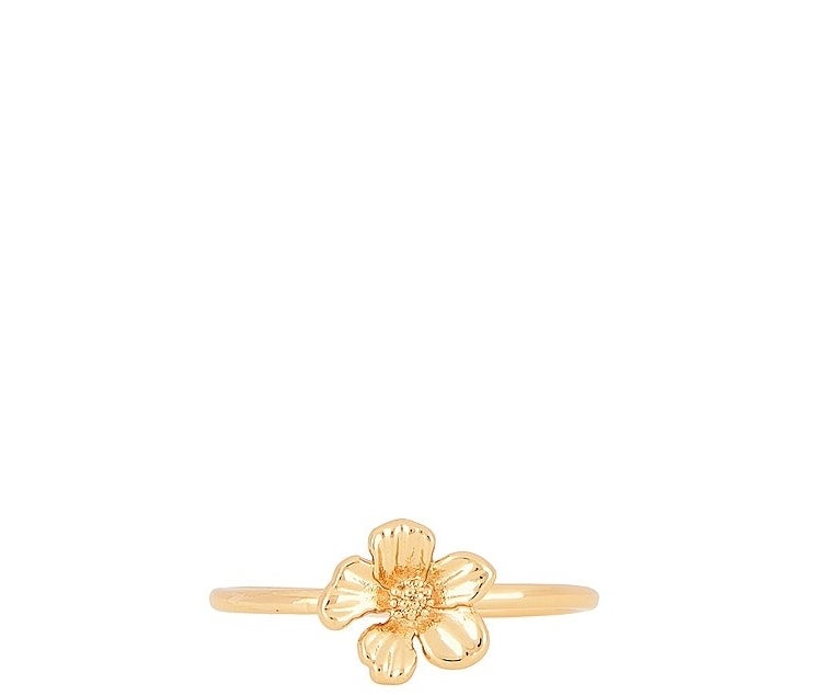 a gold coloured flower ring on a blank background