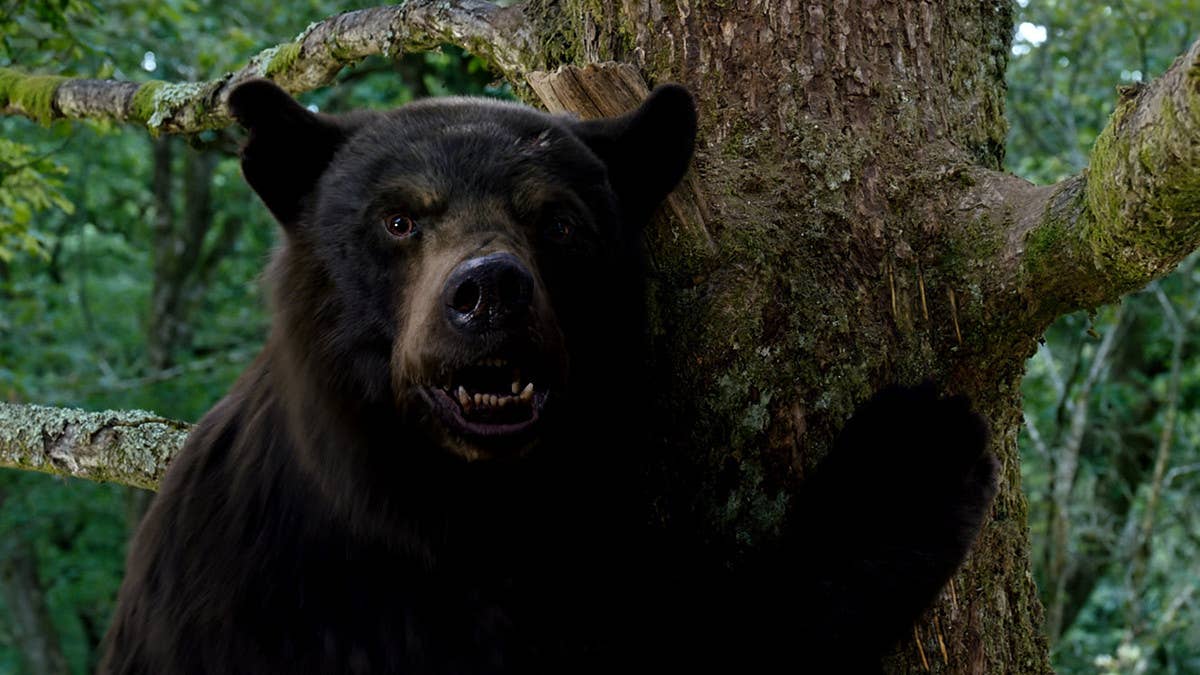 'Cocaine Bear' lines up a good time it can't quite finish; it's more like an R-rated bear cam than the smartly fun romp its viral trailer suggests.