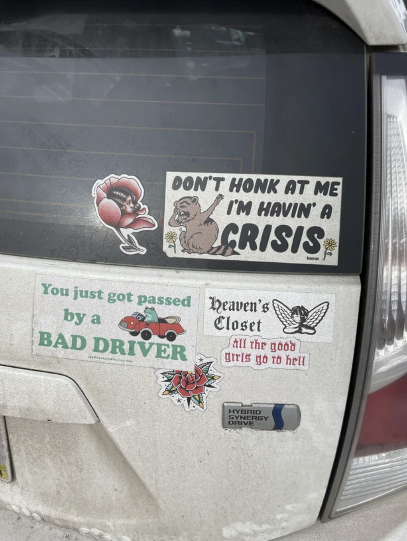 &quot;don&#x27;t honk at me I&quot;m havin&#x27; a crisis&quot; and &quot;you just got passed by a bad driver&quot;