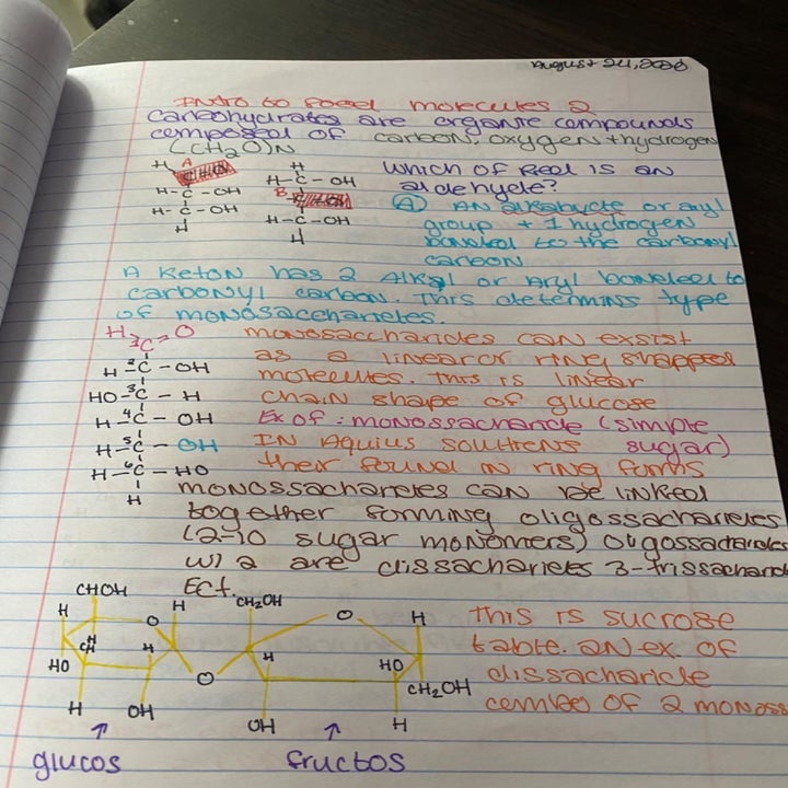 Reviewer's page of biochem notes in different colors for text and molecule sketches
