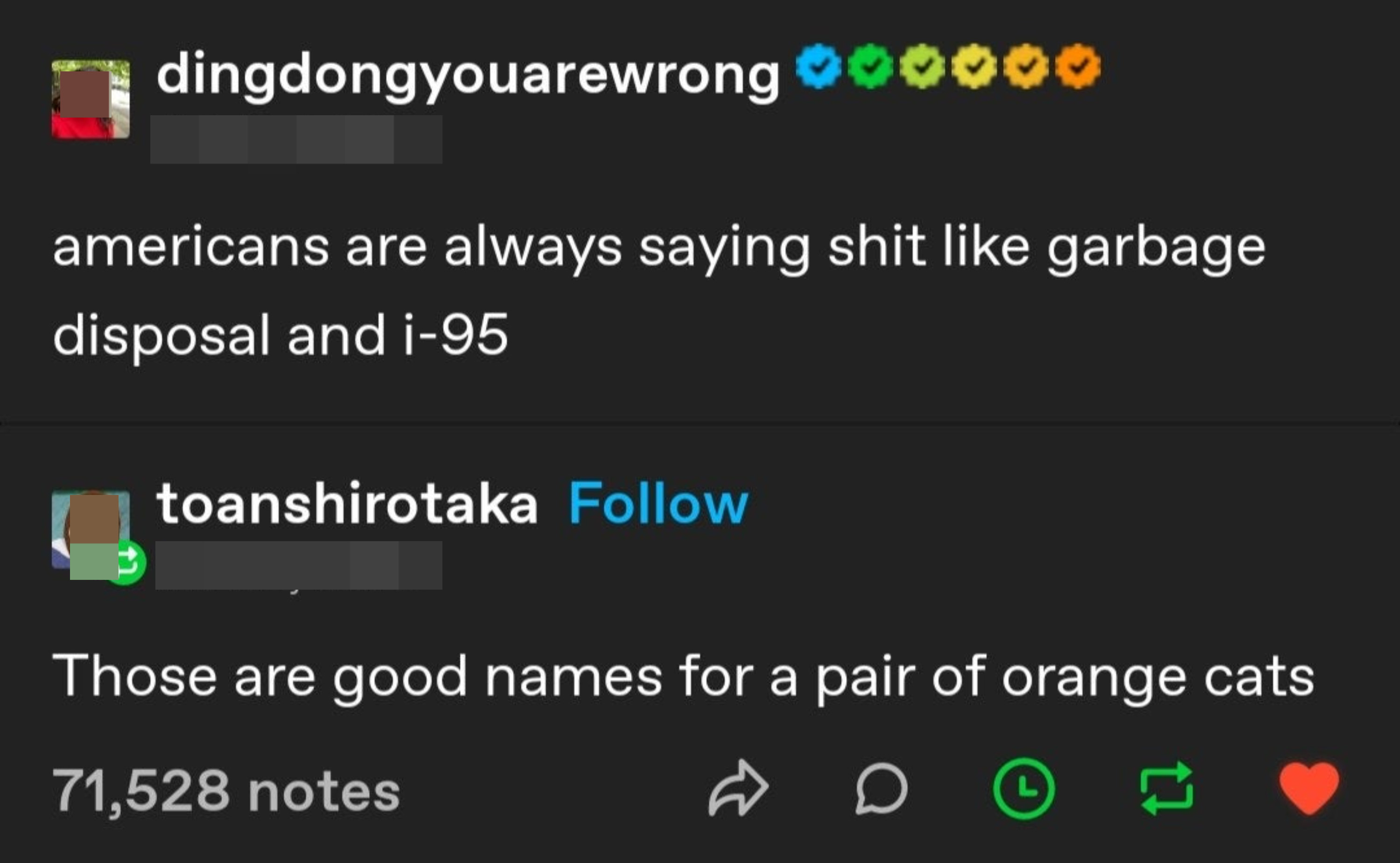 Someone makes fun of Americans saying they always say things like garbage disposal and i-95, and someone says they&#x27;d be good names for a pair of orange cats