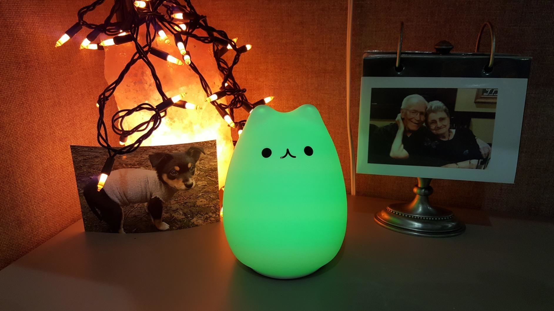 Reviewer's kitty lamp glowing green on desk