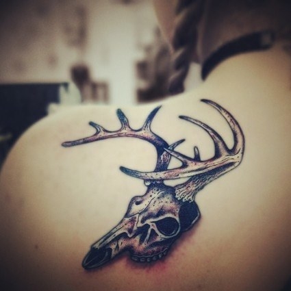 deer skull tattoo on shoulder