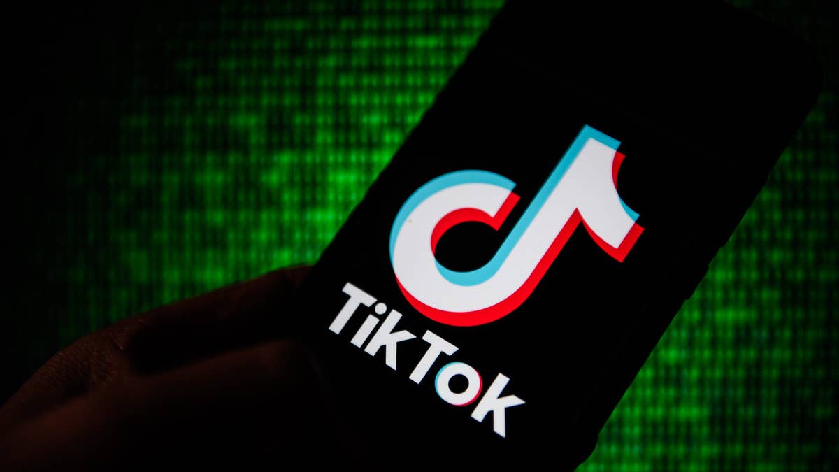 On March 1, the Foreign Affairs Committee voted to let the rest of Congress decide whether Joe Biden had the power to ban TikTok. Here's what you need to know.