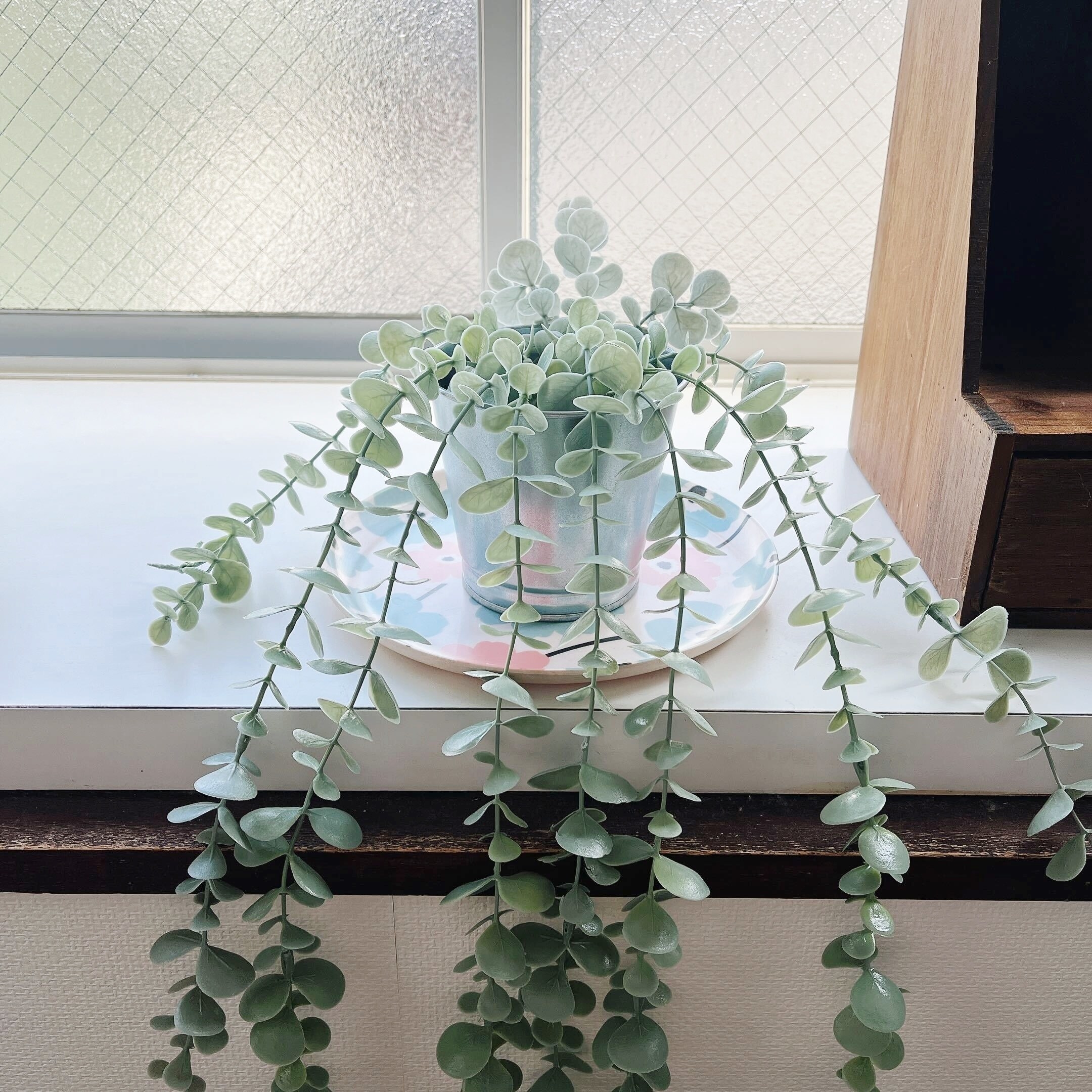 Seria(セリア)のオススメの食器「バンブーファイバー食器 丸型プレート20cm 北欧花柄」