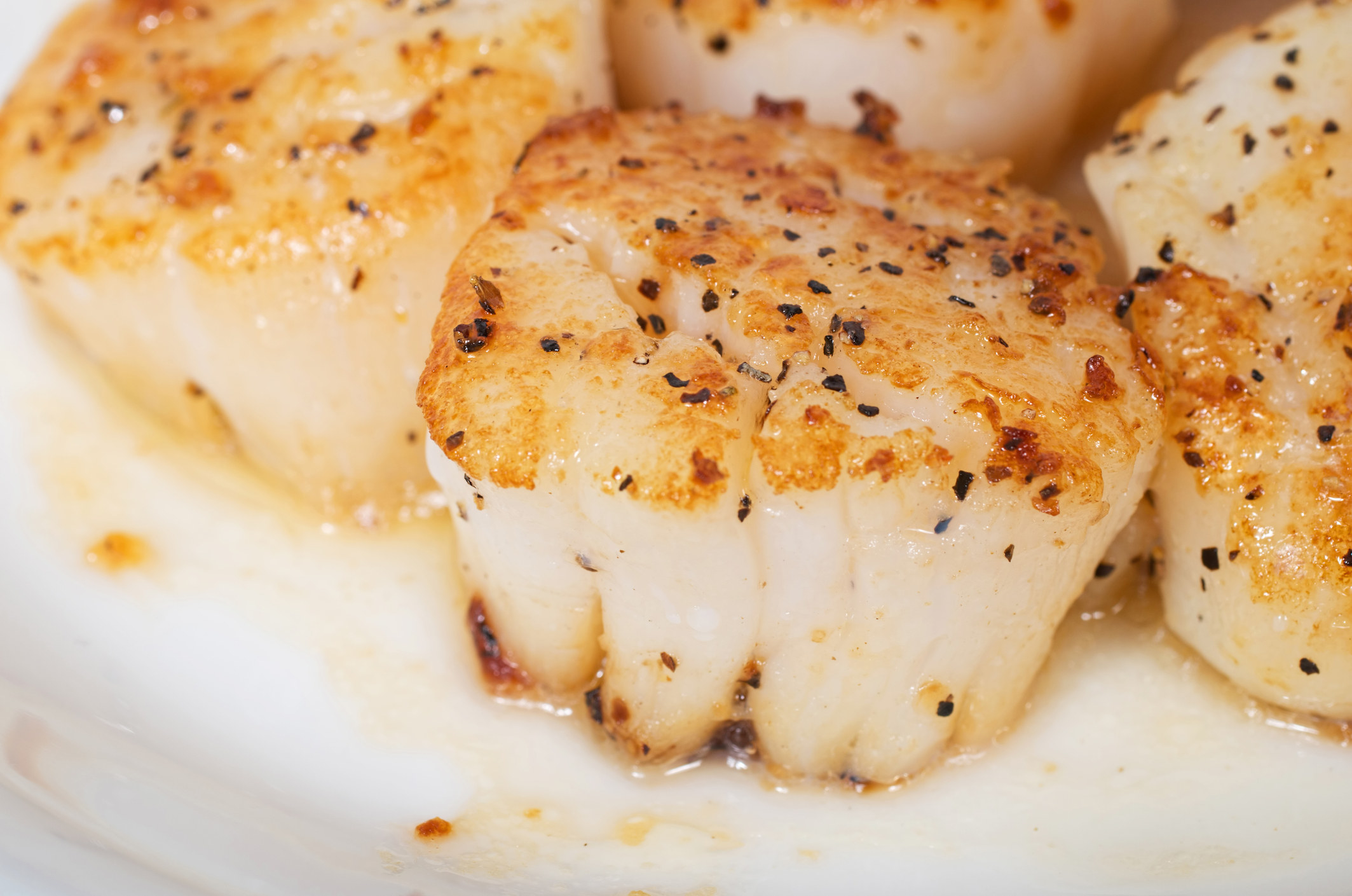 Pan seared sea scallops.