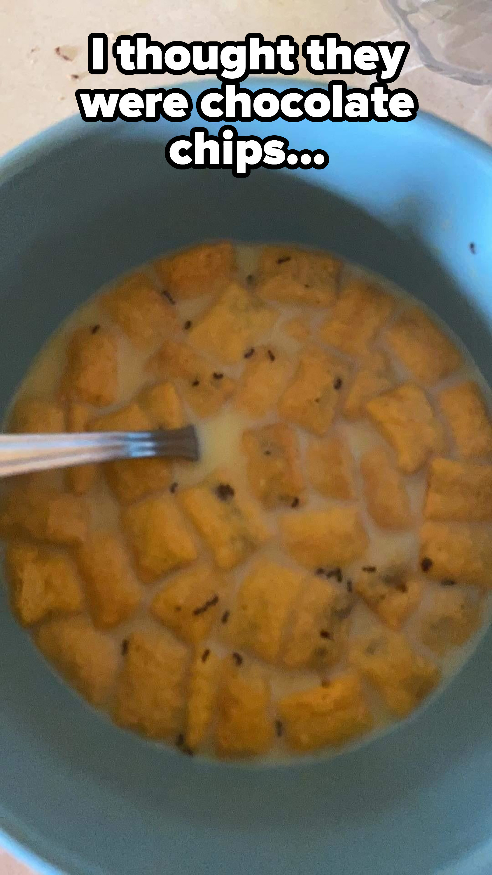 Little insects in a bowl of cereal with milk