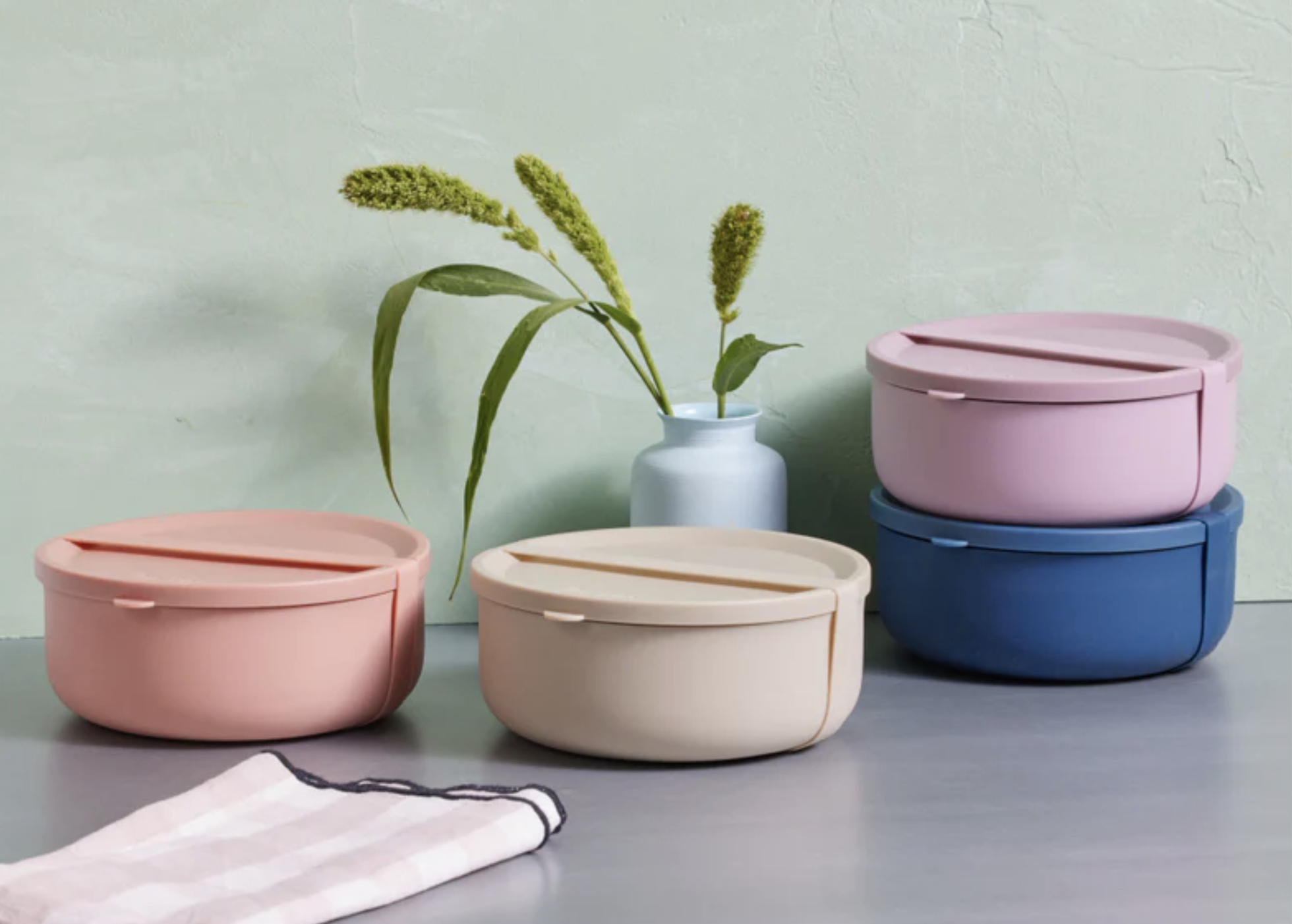 Four lunch bowls and a plant