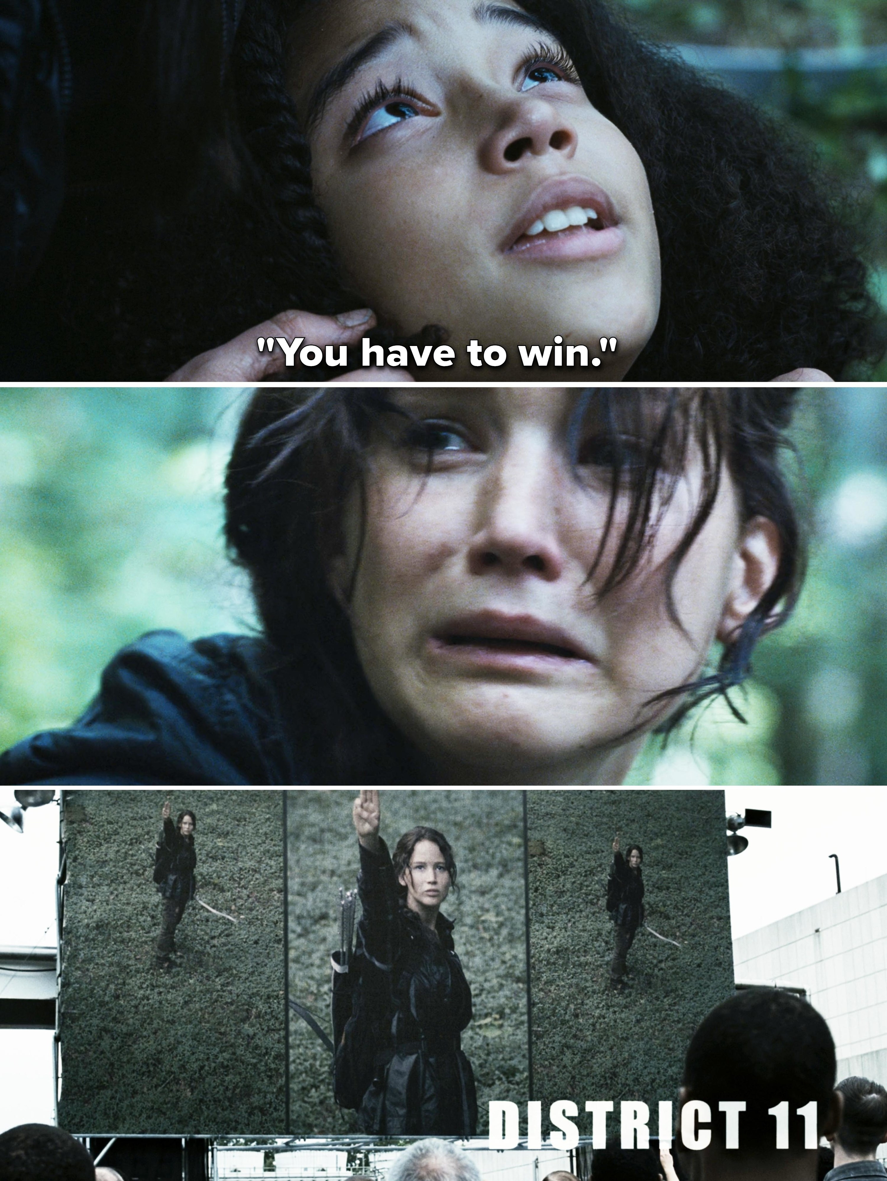 someone saying, you have to win to katniss