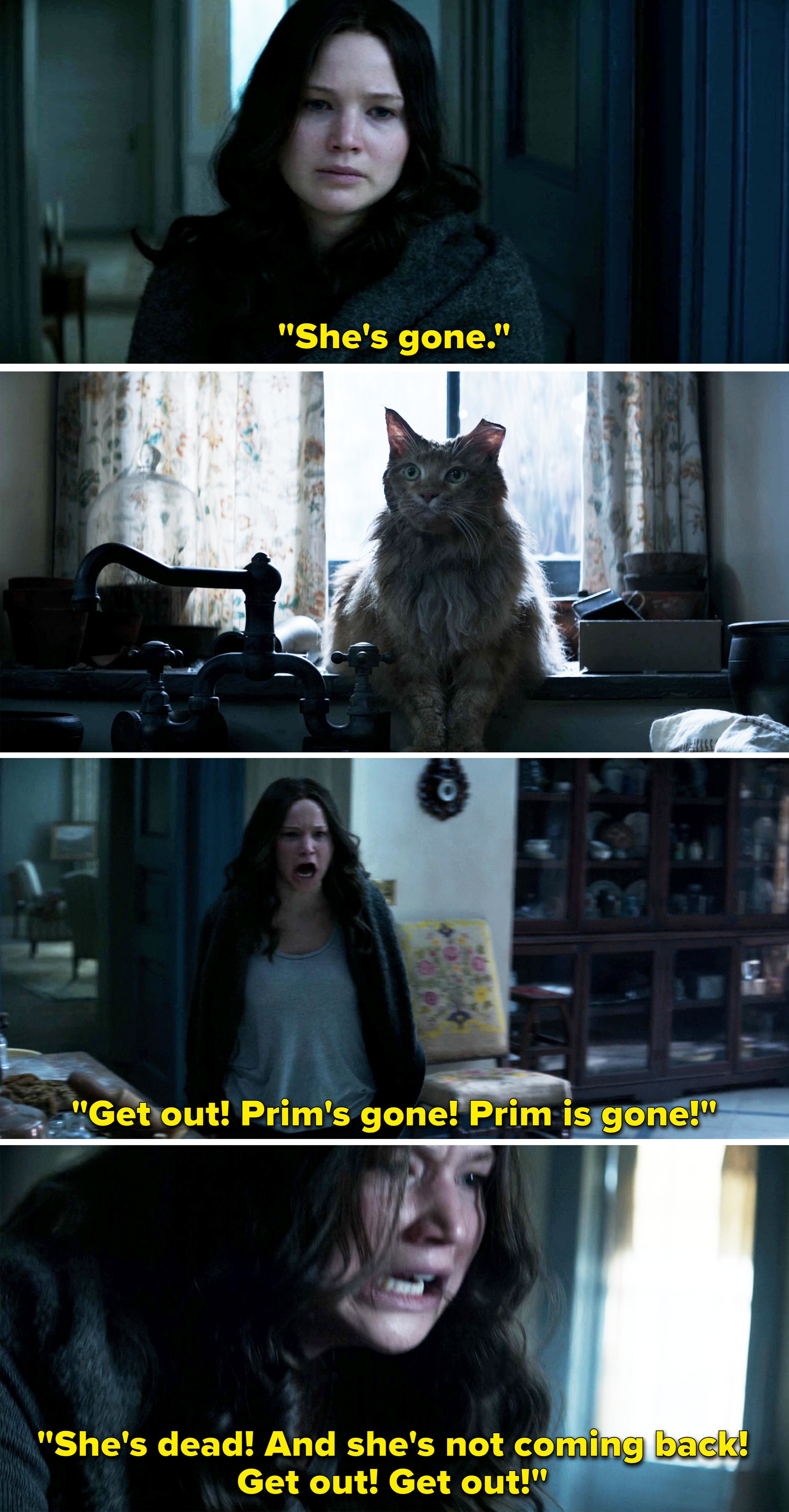 katniss yelling at the cat, she&#x27;s dead and she&#x27;s not coming back, get out get out!