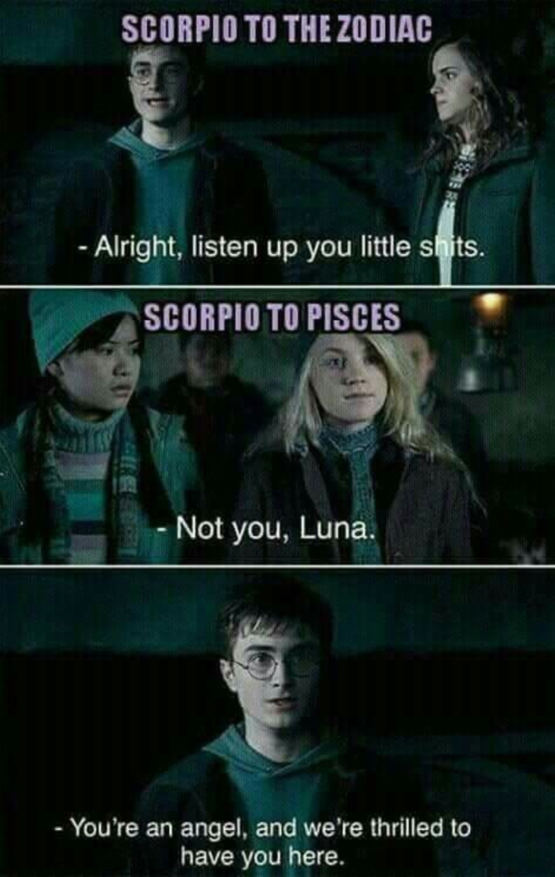 Harry Potter meme about Scorpios liking Pisces