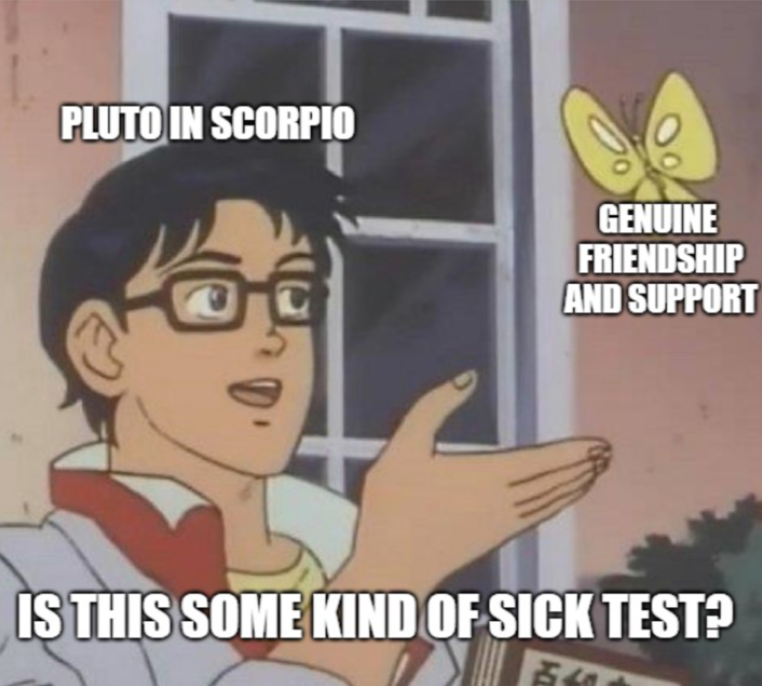 Meme about Scorpios
