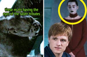 Mutts and an Avox from The Hunger Games