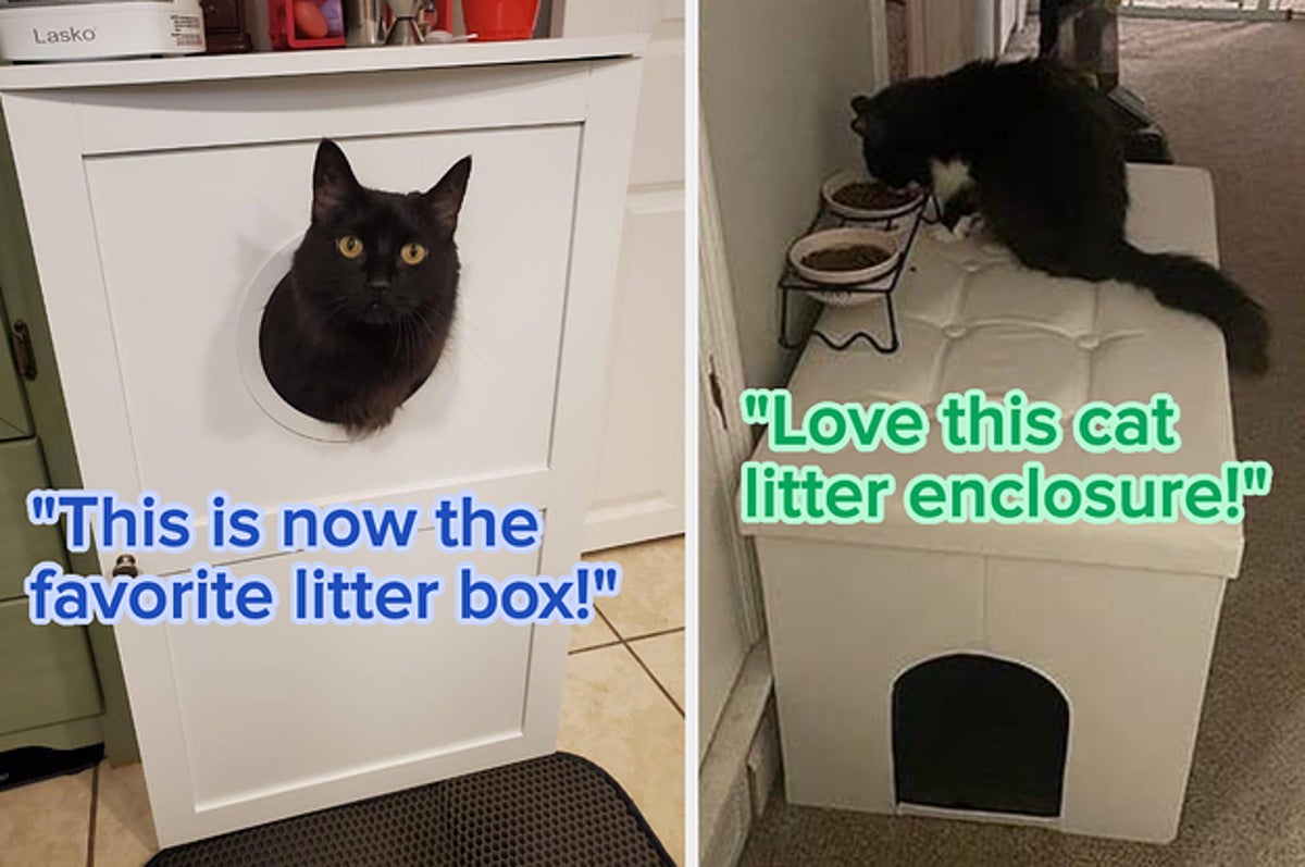 https://img.buzzfeed.com/buzzfeed-static/static/2023-03/6/16/campaign_images/d2eabeb8653b/14-pieces-of-cat-litter-box-furniture-that-will-l-2-944-1678121147-0_dblbig.jpg?resize=1200:*