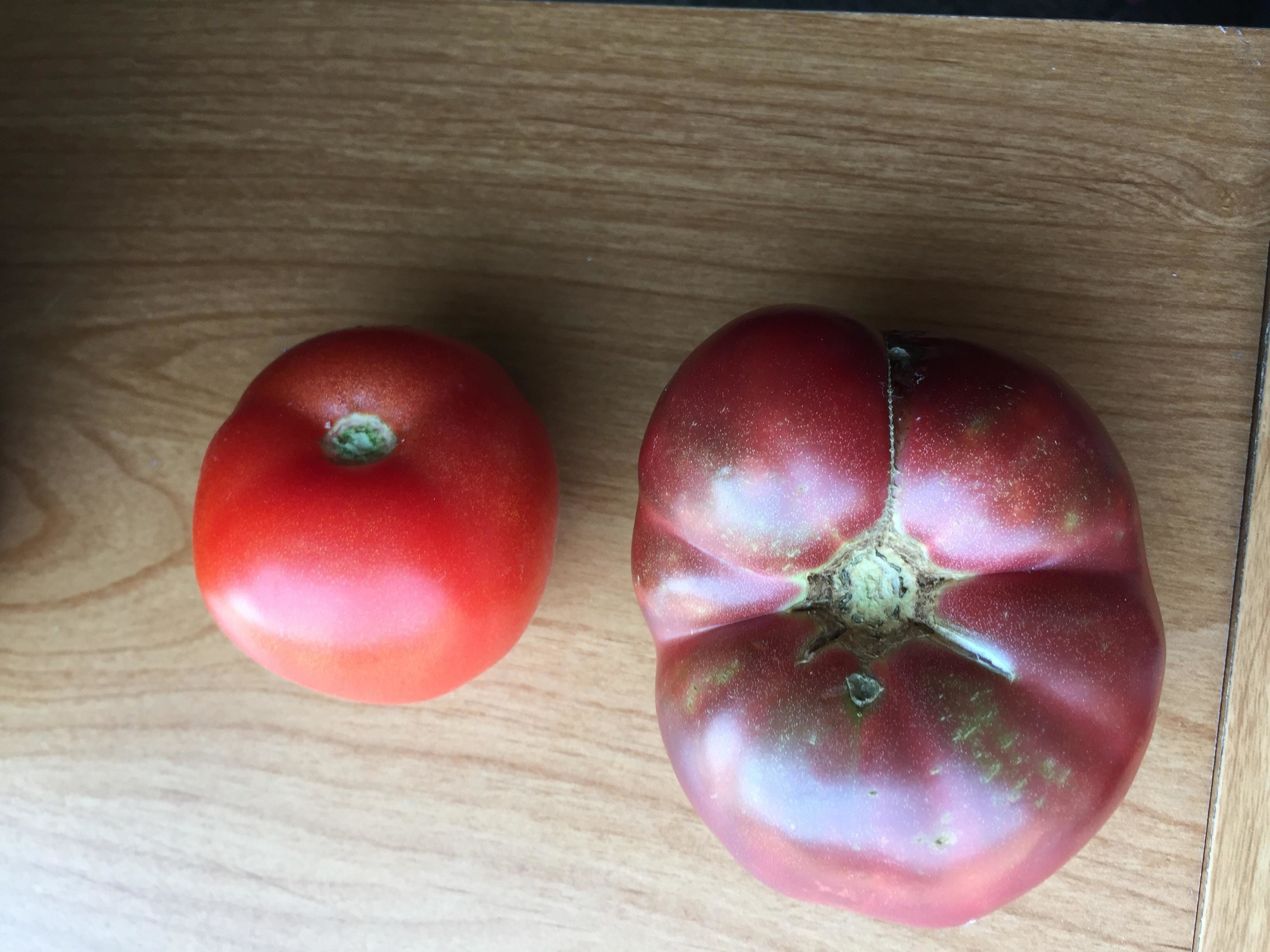 The new tomato is much smaller, more red, and less &quot;imperfections&quot;