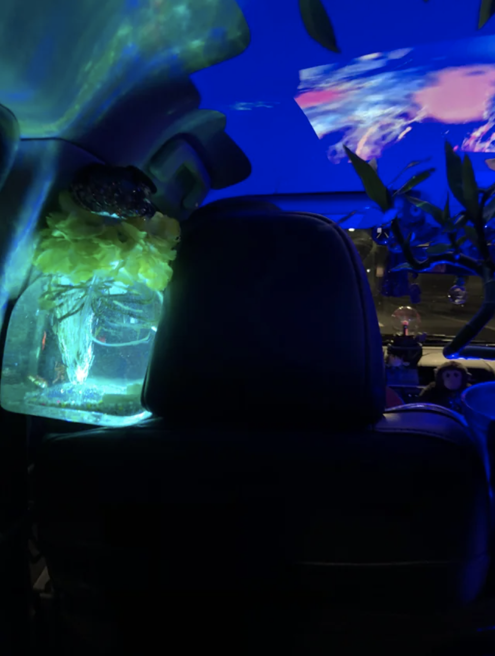 car with blue lighting and a fish tank