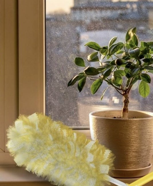 A yellow duster on a window sill by a plant