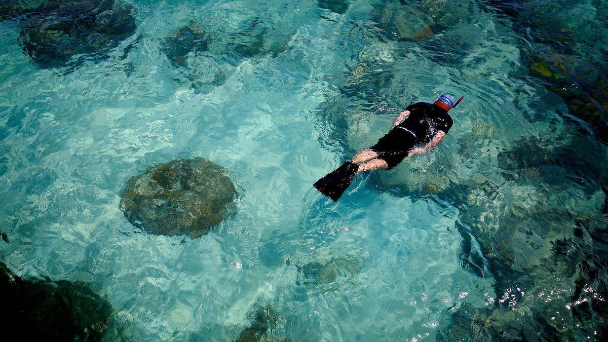 While on honeymoon in Hawaii, a couple claims in their lawsuit that they were abandoned by a snorkeling tour group and forced to swim to shore.