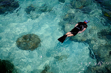 A tourist snorkels in the waters outside Green Island, near the Great Barrier Reef.
