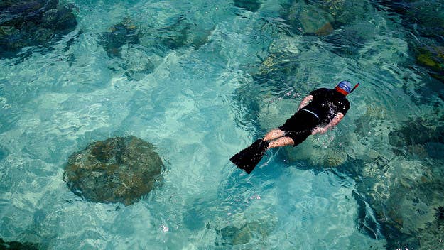 While on honeymoon in Hawaii, a couple claims in their lawsuit that they were abandoned by a snorkeling tour group and forced to swim to shore.