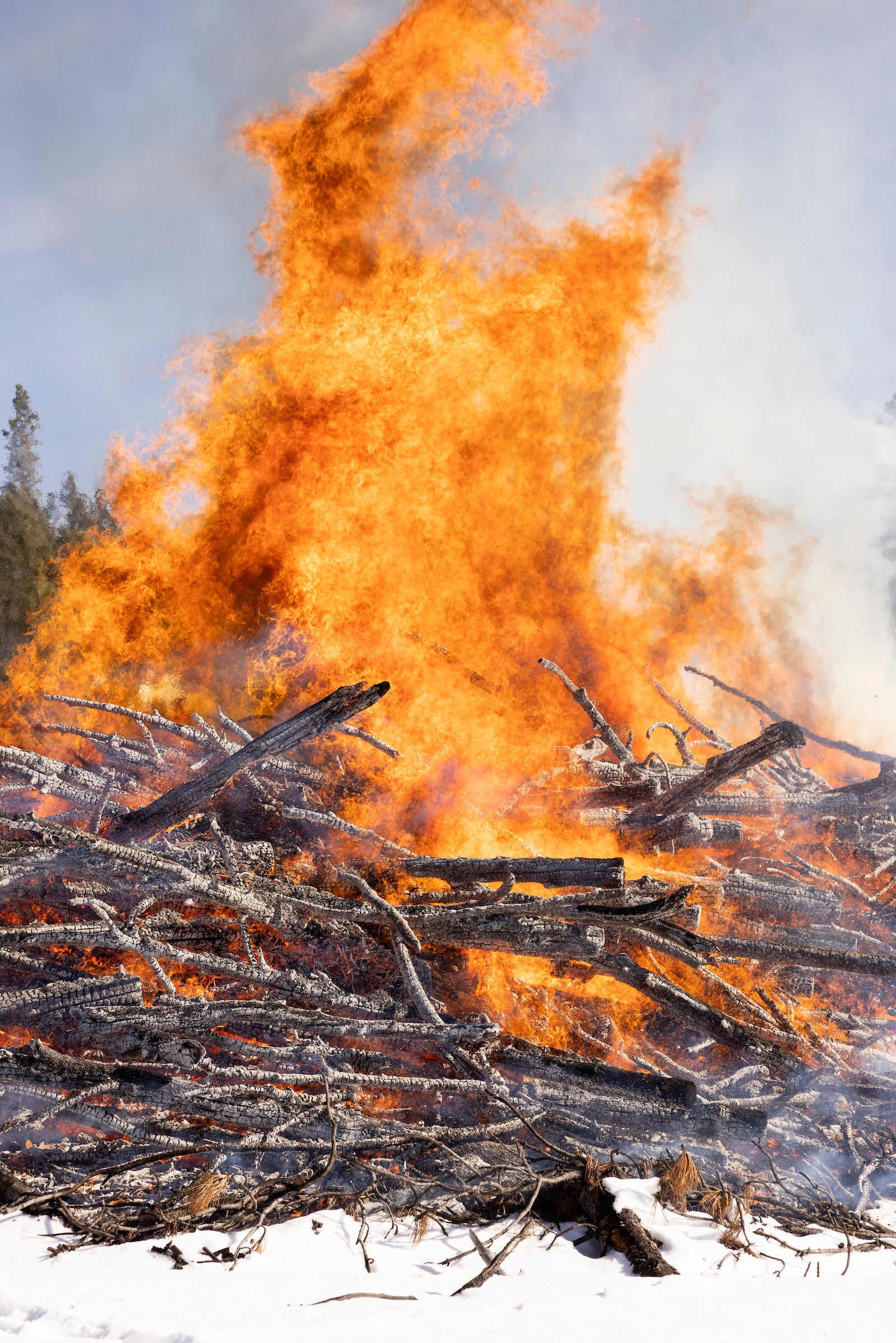 A closely cropped photo of a flame reaching up into the sky with bright yellows and deep oranges as it turns the wood pile below into white and gray charcoal