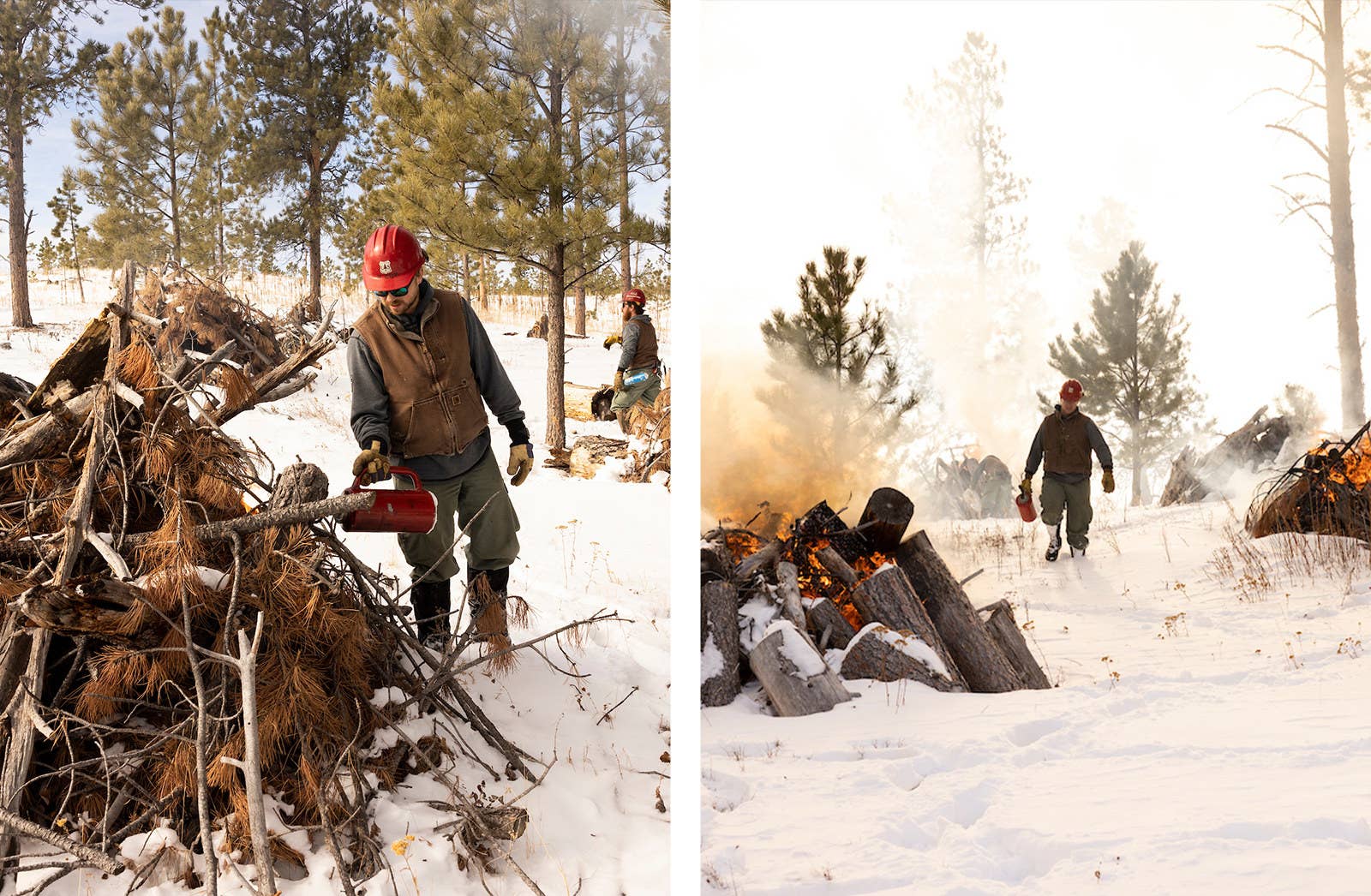 two photos: a forest service worker pouring a container of gasoline onto a pile of forest debris, and another of a service worker walking between several piles of alight forest debris piles