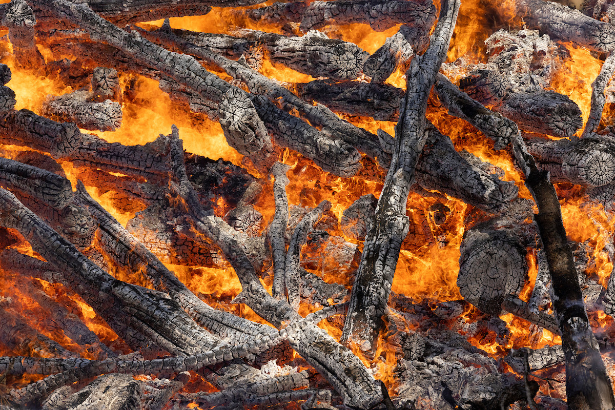 The last dregs of a fire—the top of a pile of crumbling charcoal in grays and whites and underneath peaks through flames and wood glowing in orange