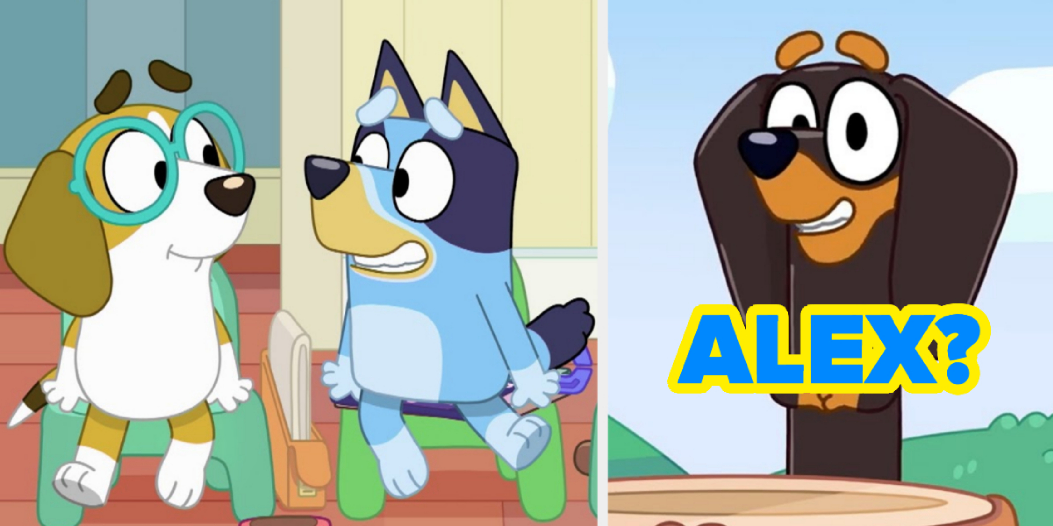 Bluey Voice Actor 78 - 3gu9kak