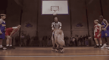 Buddy makes a basket in &quot;Air Bud&quot;