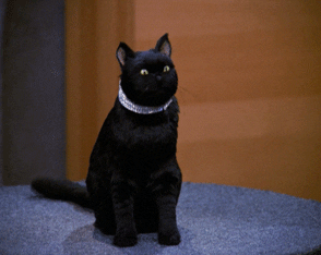 Salem&#x27;s jaw drops in &quot;Sabrina the Teenage Witch&quot;
