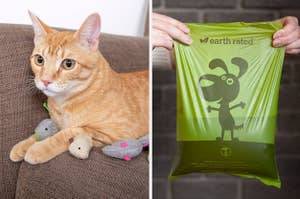 on left, beige and brown cat sitting on couch with plush mice toys. on right, green dog poop baggie in model's hands