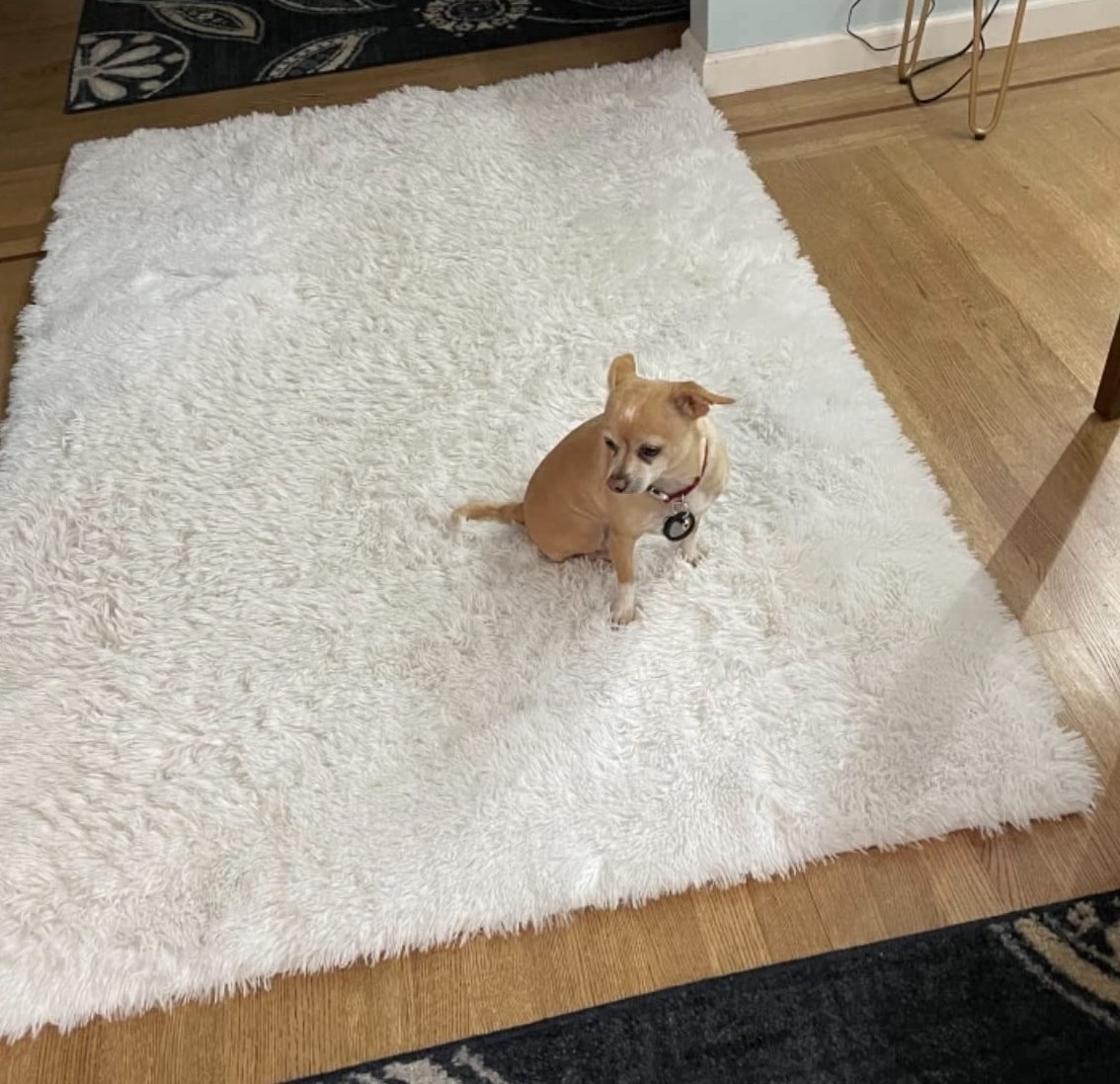 a reviewer photo of a dog sitting on the white rug