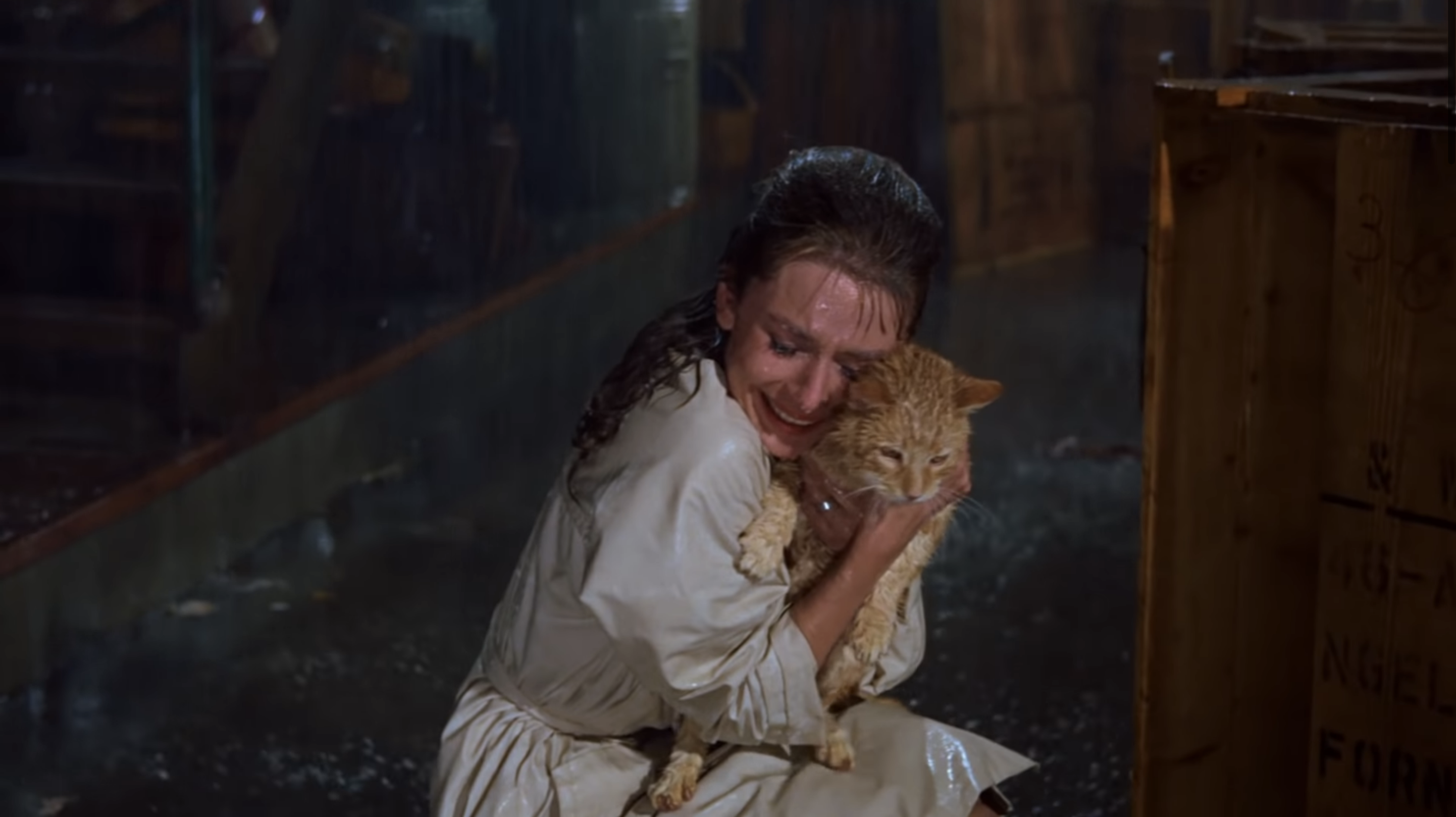 Audrey Hepburn hugging a cat